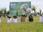 Ketahanan Pangan